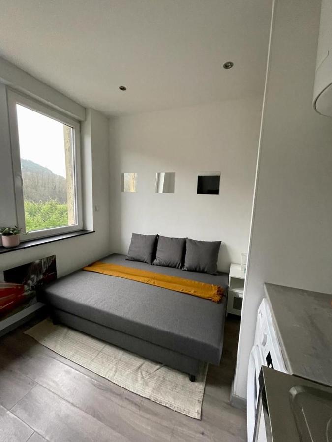 Studio#102 A La Frontiere Du Luxembourg, Stationnement Gratuit * Knutange